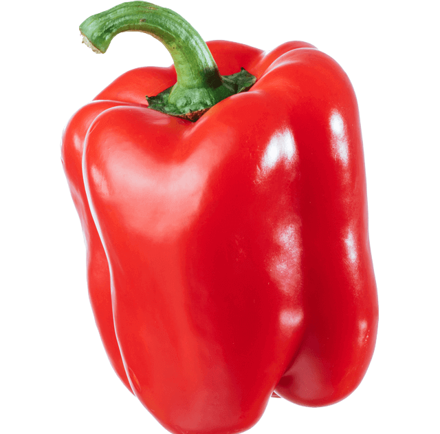 Paprika