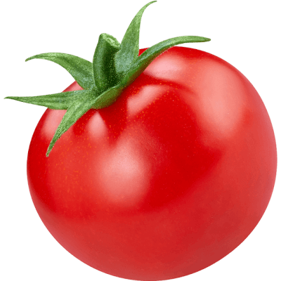 tomaat vierkant